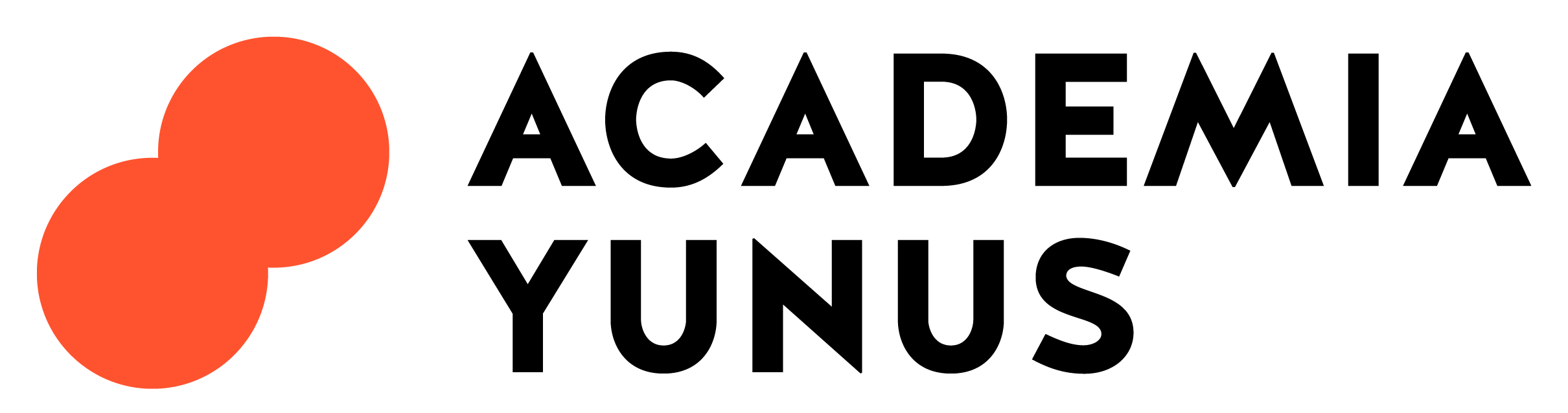 Academia Yunus